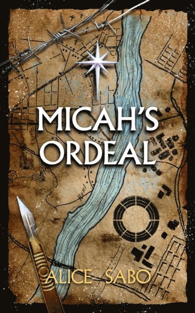 Alice Sabo - Micah's Ordeal, E-bok