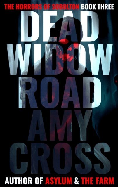 Amy Cross - Dead Widow Road, E-bok
