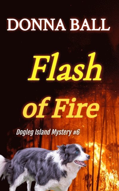 Donna Ball - Flash of Fire, E-bok