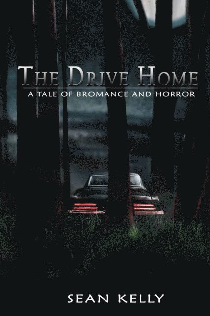 Sean Kelly - Drive Home: A Tale of Bromance and Horror, E-bok