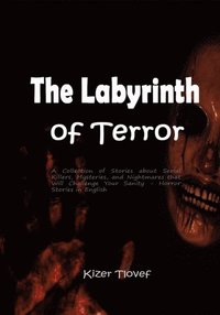 Labyrinth of Terror: A Collection of Stories about Serial Killers, Mysteries, and Nightmares that Will Challenge Your Sanity - Horror Stories in English