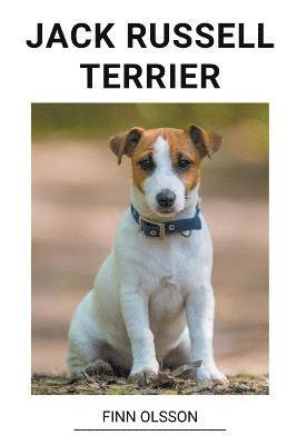 Finn Olsson Jack Russell Terrier