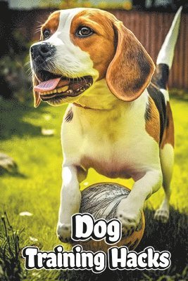 Creative Dream - Dog Training Hacks, Häftad