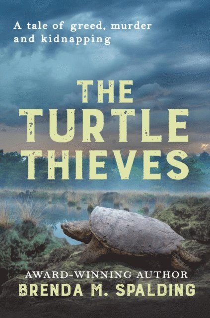 Brenda Spalding - Turtle Thieves, E-bok