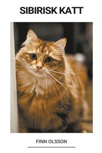 Sibirisk Katt