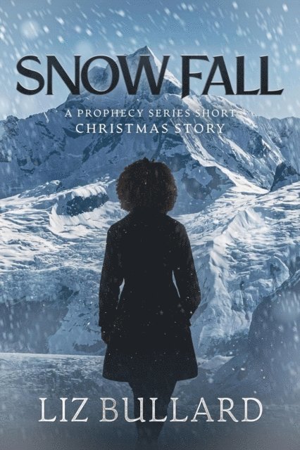 Liz Bullard - Snow Fall, E-bok