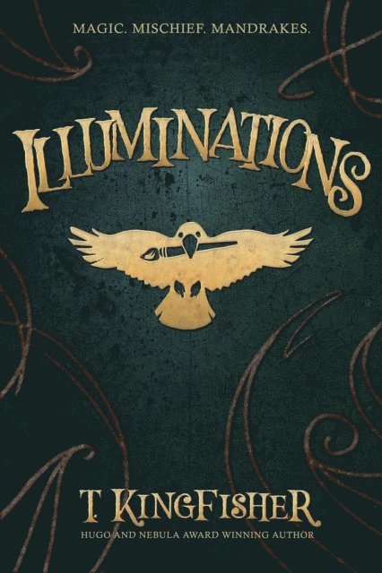 T. Kingfisher - Illuminations, E-bok