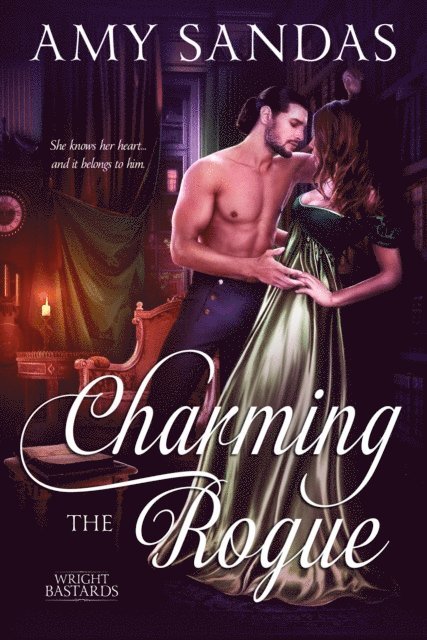 Amy Sandas - Charming the Rogue, E-bok
