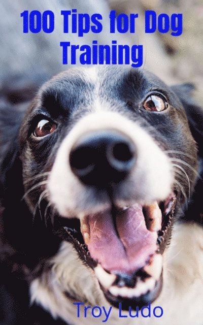 Troy Ludo - 100 Tips for Dog Training, E-bok. Tillgänglighet: Lägg i varukorg