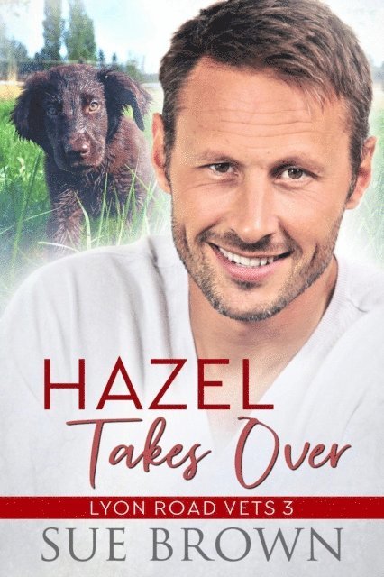 Sue Brown - Hazel Takes Over, E-bok