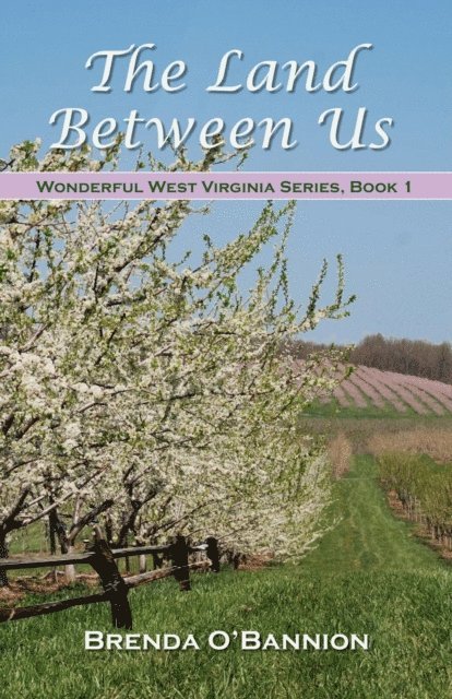 Brenda O'Bannion - Land Between Us, E-bok