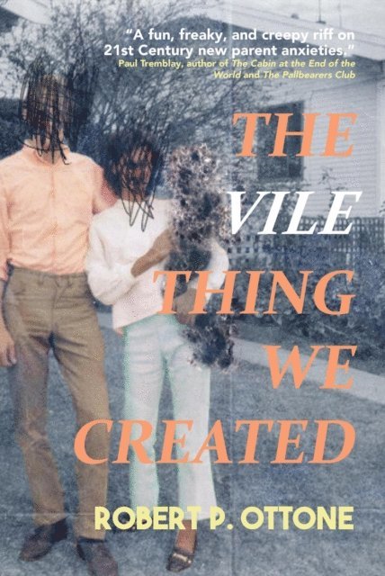 Robert P. Ottone - Vile Thing We Created, E-bok