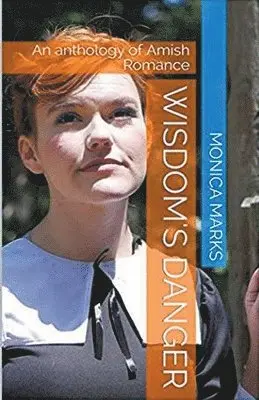 Monica Marks - Wisdom's Danger, Häftad. Tillgänglighet: Lägg i varukorg