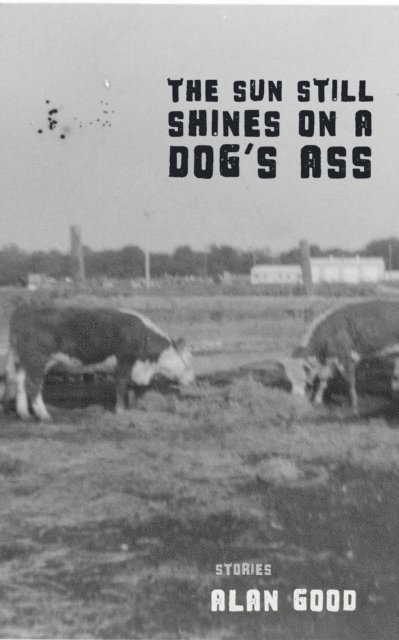 Alan Good - Sun Still Shines on a Dog's Ass, E-bok
