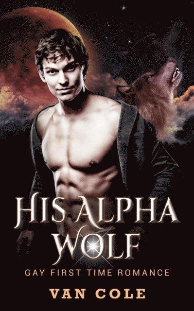 Van Cole - His Alpha Wolf: Gay First Time Romance, E-bok. Tillgänglighet: Lägg i varukorg