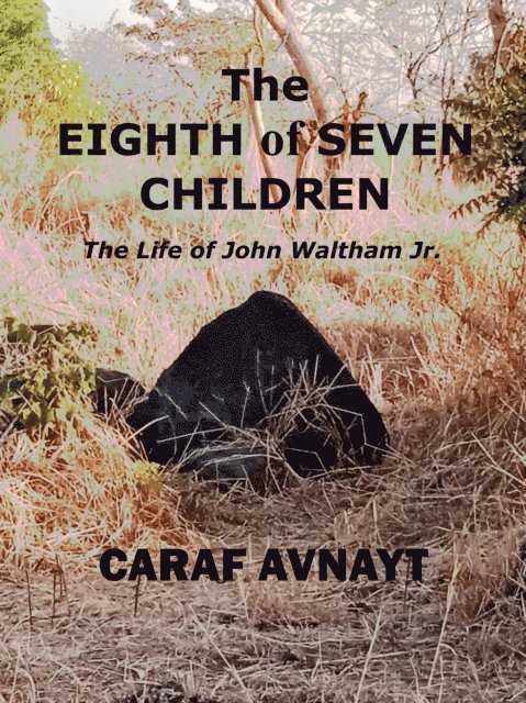 Caraf Avnayt - Eighth of Seven Children, E-bok. Tillgänglighet: Lägg i varukorg