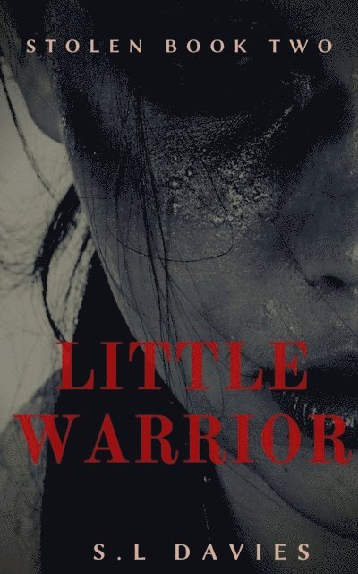 S L Davies - Little Warrior, E-bok