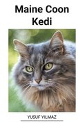 Maine Coon Kedi