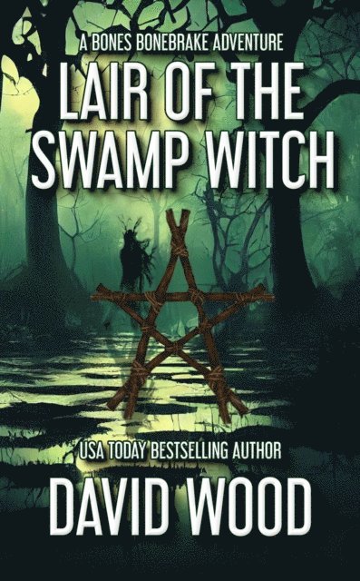 David Wood - Lair of the Swamp Witch, E-bok