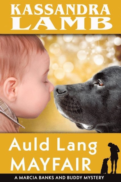Kassandra Lamb - Auld Lang Mayfair, E-bok