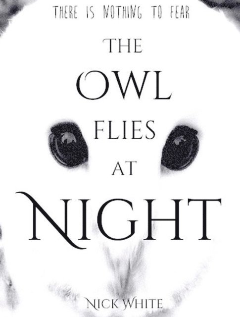 Nick White - Owl Flies at Night, E-bok