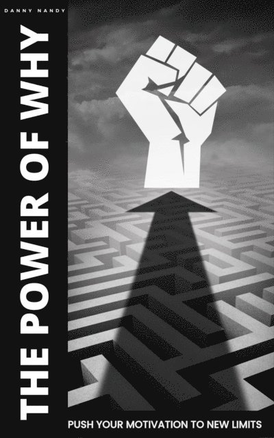 Danny Nandy - Power of Why - Push Your Motivation To New Limits, E-bok