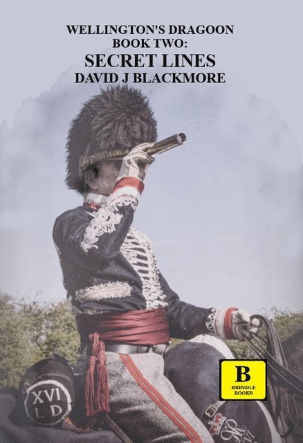 David J Blackmore - Secret Lines, E-bok