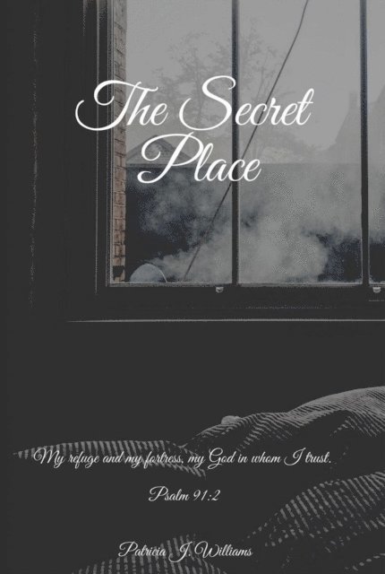 Patricia J Williams - Secret Place, E-bok