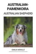 Australianpaimenkoira (Australian Shepherd)