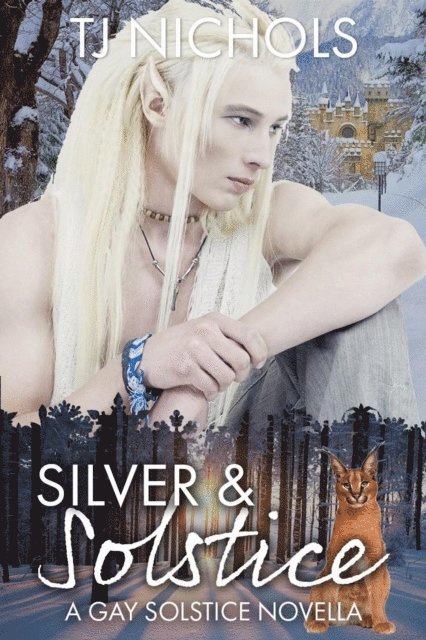 TJ Nichols - Silver and Solstice, E-bok