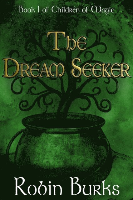 Robin Burks - Dream Seeker, E-bok