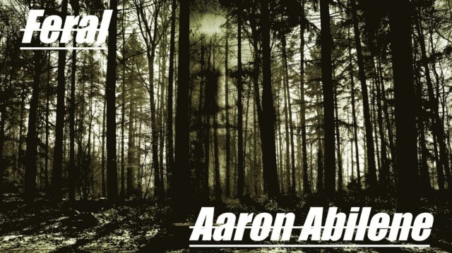 Aaron Abilene - Feral, E-bok