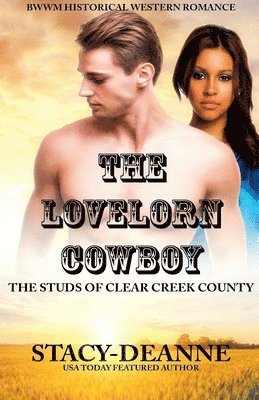 Lovelorn Cowboy