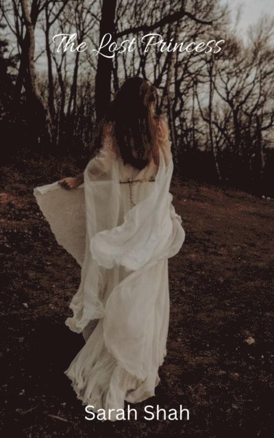 sarah Shah - Lost Princess, E-bok