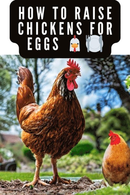 Tanner - How to Raise Chickens For Eggs and Meat, E-bok