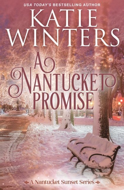 Katie Winters - Nantucket Promise, E-bok