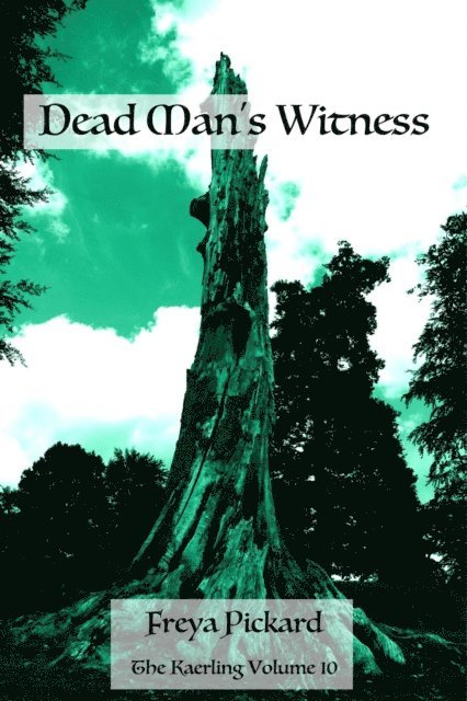 Freya Pickard - Dead Man's Witness, E-bok. Tillgänglighet: Lägg i varukorg