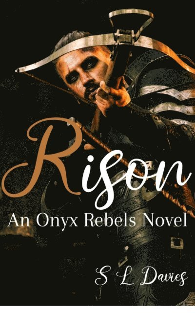 S L Davies - Rison, E-bok
