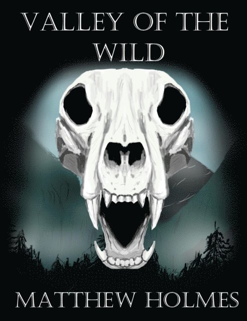 Matthew Holmes - Valley of the Wild, E-bok