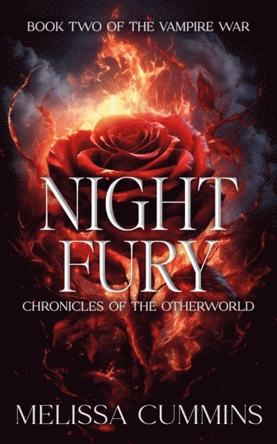 Melissa Cummins - Night Fury, E-bok