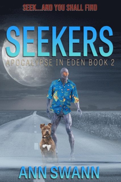 Ann Swann - Seekers, E-bok