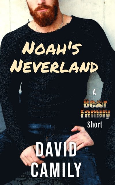 David Camily - Noah's Neverland, E-bok