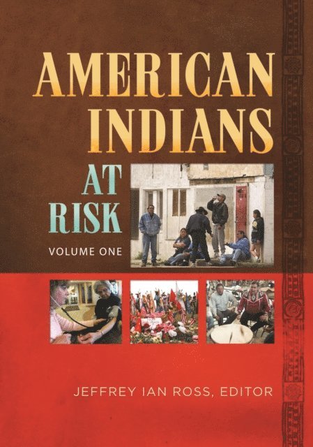 Jeffrey Ian Ross Ph.D. - American Indians at Risk, E-bok