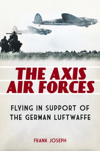 Frank Joseph - Axis Air Forces, E-bok