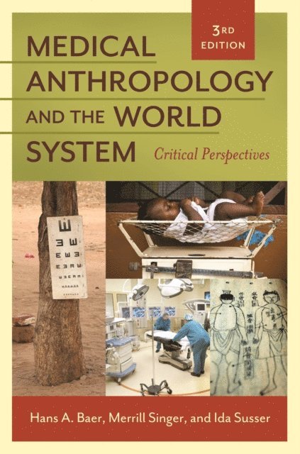Hans A. Baer, Merrill Singer, Ida Susser - Medical Anthropology and the World System, E-bok