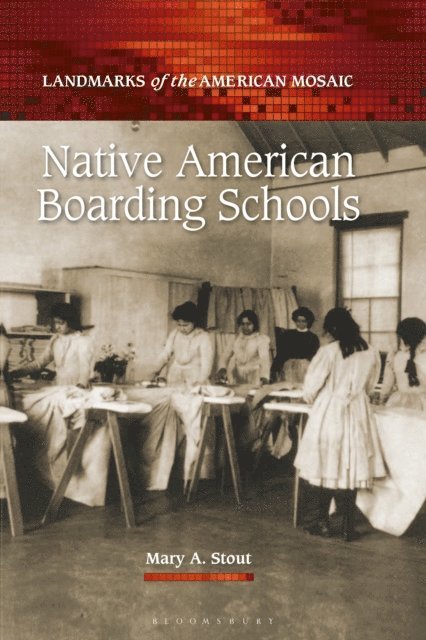 Mary A. Stout - Native American Boarding Schools, E-bok
