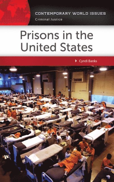 Cyndi Banks - Prisons in the United States, E-bok