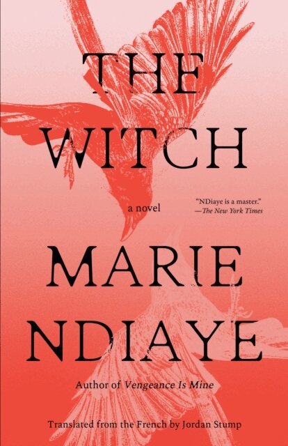 Marie NDiaye - Witch, E-bok