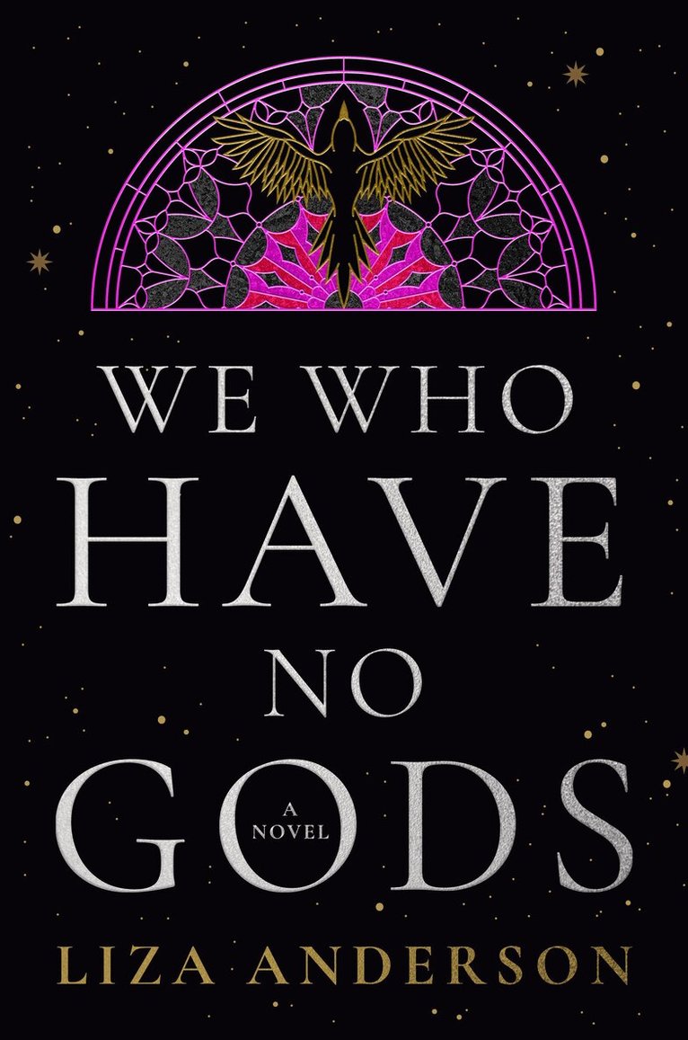 Liza Anderson - We Who Have No Gods: A Novel, Häftad