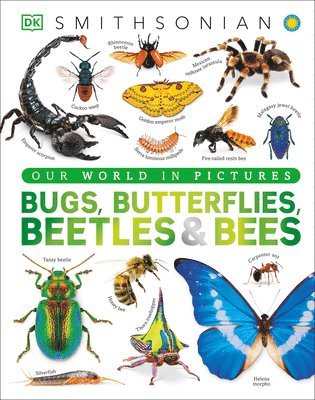 Dk - Bugs, Butterflies, Beetles and Bees, Inbunden